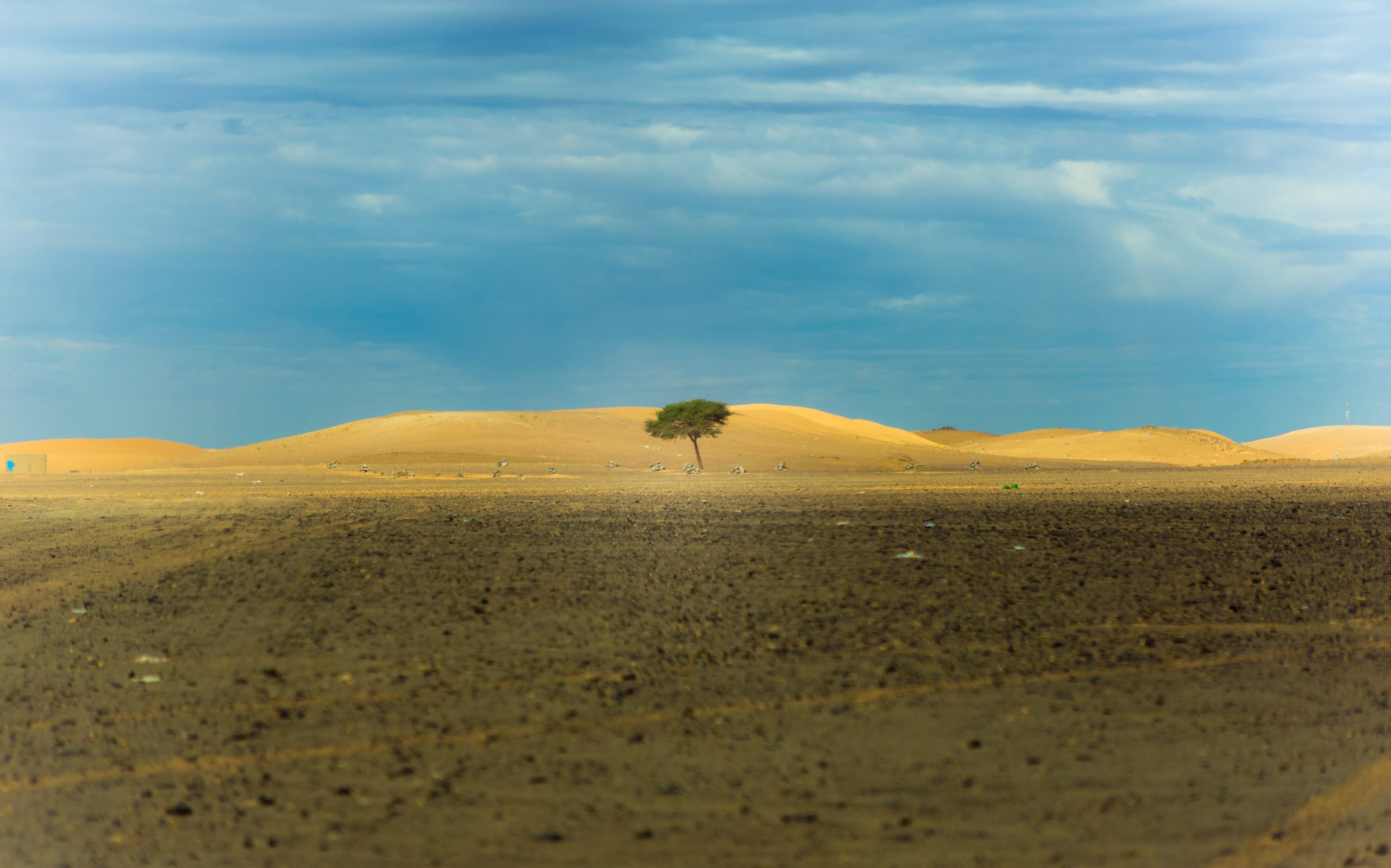 karim-manjra-ulquHF89xuY-unsplash