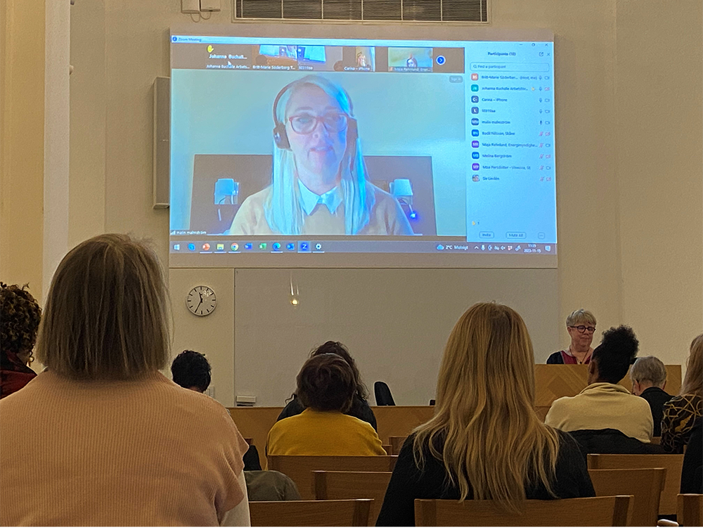 Malin Malmström presents in a seminar in the Swedish Parliament.