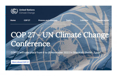 COP 27i