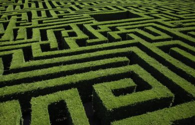 Maze detail in a forest, game and fun